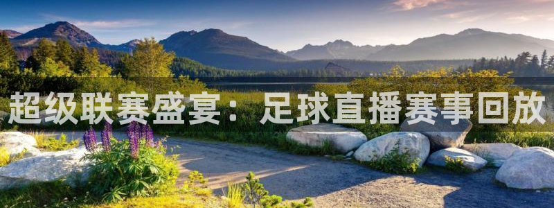超级联赛盛宴：足球直播赛事回放